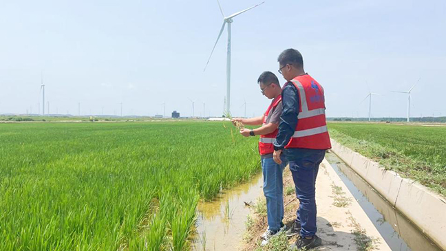 首页| 和记H88集团怡情博娱官网